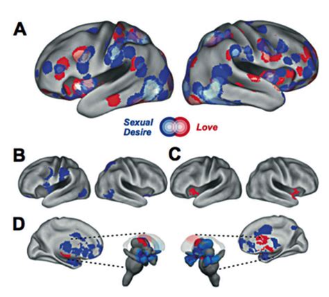 magiorakos et al. 2012